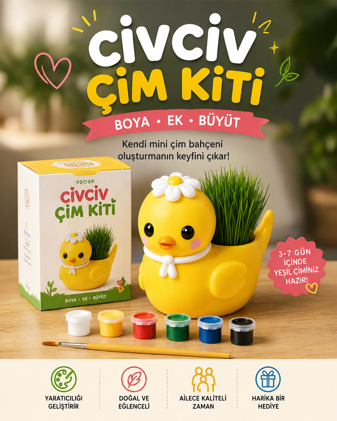 Civciv Çim Yetiştirme Kiti