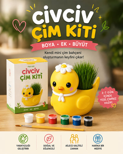 Civciv Çim Yetiştirme Kiti