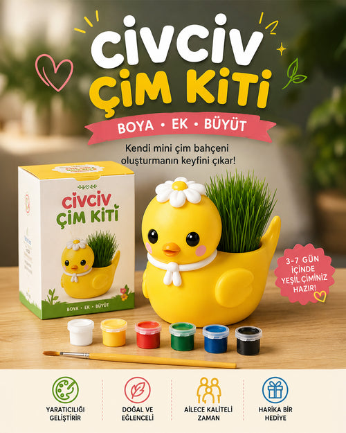 Civciv Çim Yetiştirme Kiti