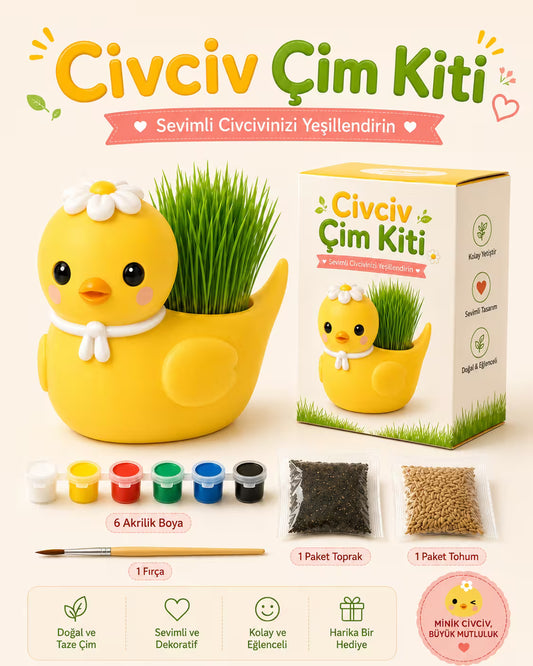 Civciv Çim Yetiştirme Kiti