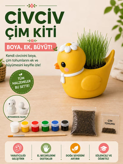 Civciv Çim Yetiştirme Kiti
