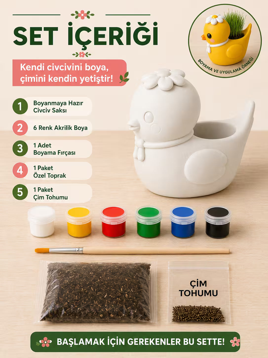 Civciv Çim Yetiştirme Kiti