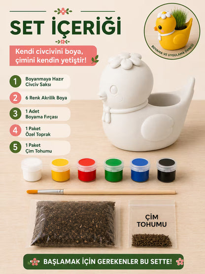 Civciv Çim Yetiştirme Kiti
