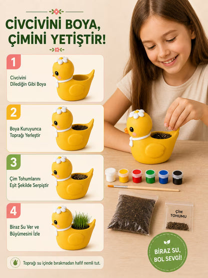 Civciv Çim Yetiştirme Kiti