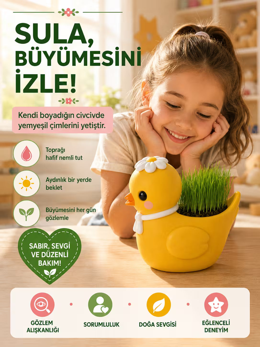 Civciv Çim Yetiştirme Kiti