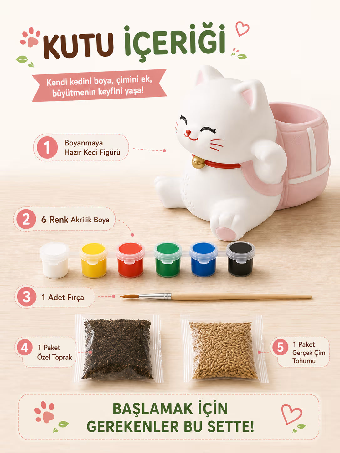 Kedi Çim Yetiştirme Kiti - Aktivite Seti