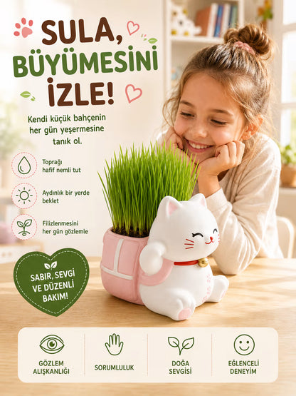 Kedi Çim Yetiştirme Kiti - Aktivite Seti